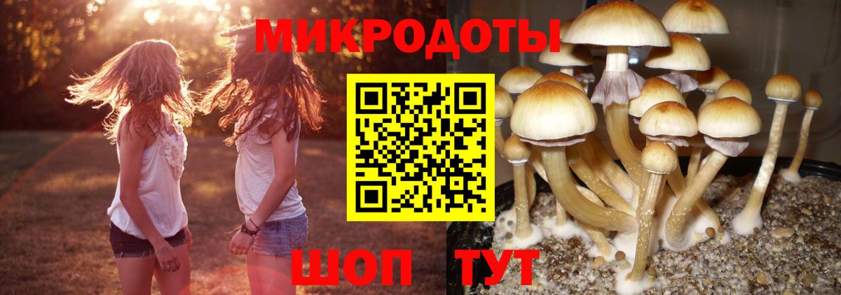 Галлюциногенные грибы Psilocybe  Галлюциногенные грибы ЛСД  Вход с VPN  Нижнеудинск 